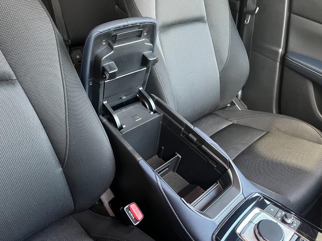 ＣＸ－３０ ２０Ｓ　プロアクティブ　ツーリングセレクション　４ＷＤ／ナビ／全方位カメラ／ＴＶ／衝突軽減／寒冷地仕様／パワーバックドア／ＨＵＤ／ドライバーモニタリング／クルージングトラフィックサポート／ＬＥＤヘッドライト／リアフォグ／パワーシート／シートヒーター（35枚目）