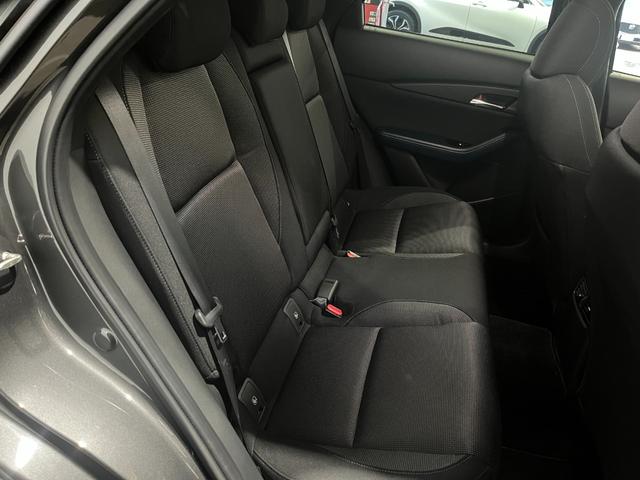 ＣＸ－３０ ２０Ｓ　プロアクティブ　ツーリングセレクション　４ＷＤ／ナビ／全方位カメラ／ＴＶ／衝突軽減／寒冷地仕様／パワーバックドア／ＨＵＤ／ドライバーモニタリング／クルージングトラフィックサポート／ＬＥＤヘッドライト／リアフォグ／パワーシート／シートヒーター（48枚目）