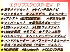 ������ץ��������Уȣţ� �С����ףġ����ߥ������ա������ϻ��͡������ʥ� 0310473A30251219W004 2