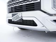 ƥꥢѥååΥեȡ䥢˥å夷ץߥശ򴶤ž夬ˤʤäƤޤ 5