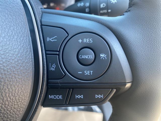 ＲＡＶ４ Ｇ　４ＷＤ　デジタルインナーミラー全後方録画　全周囲カメラ　オートクルーズコントロール　レーンアシスト　パワーシート　衝突被害軽減システム　ナビ　ＴＶ　オートマハイビーム　オートライト　ＬＥＤヘッドランプ（27枚目）