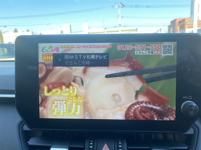 ＲＡＶ４ Ｇ　４ＷＤ　デジタルインナーミラー全後方録画　全周囲カメラ　オートクルーズコントロール　レーンアシスト　パワーシート　衝突被害軽減システム　ナビ　ＴＶ　オートマハイビーム　オートライト　ＬＥＤヘッドランプ（33枚目）