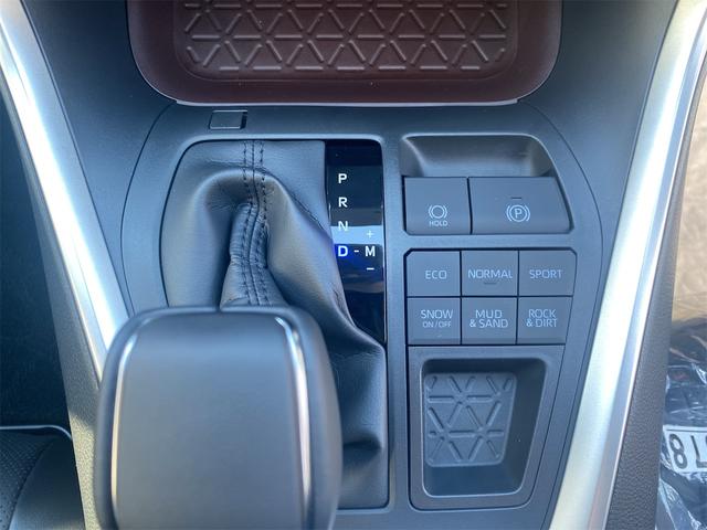 ＲＡＶ４ Ｇ　４ＷＤ　デジタルインナーミラー全後方録画　全周囲カメラ　オートクルーズコントロール　レーンアシスト　パワーシート　衝突被害軽減システム　ナビ　ＴＶ　オートマハイビーム　オートライト　ＬＥＤヘッドランプ（38枚目）