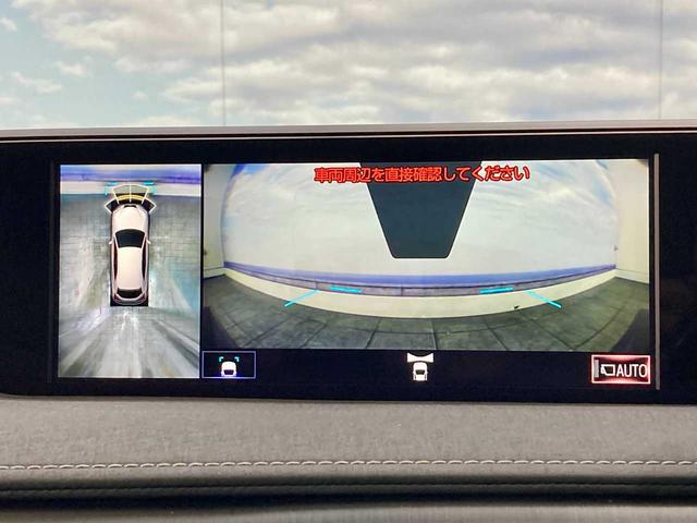 ＵＸ ＵＸ２５０ｈ　バージョンＬ　寒冷地仕様　ブルートゥースオーディオ　ワンオーナー　レザーシート　ＥＴＣ２．０　ドラレコ　サンルーフ　追従クルコン　全周囲カメラ　シートヒーター　シートエアコン　パワーシート　クリアランスソナー（25枚目）
