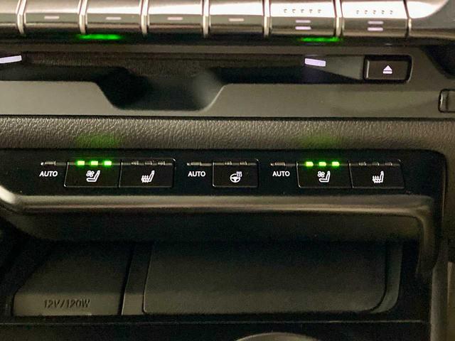 ＵＸ ＵＸ２５０ｈ　バージョンＬ　寒冷地仕様　ブルートゥースオーディオ　ワンオーナー　レザーシート　ＥＴＣ２．０　ドラレコ　サンルーフ　追従クルコン　全周囲カメラ　シートヒーター　シートエアコン　パワーシート　クリアランスソナー（34枚目）