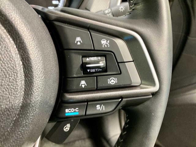 フォレスター アドバンス　バックソナー　ヒーター　ＳＤナビゲーション　アダプティブクルーズ　ブルーレイ再生　キーレス　スマートＫ　禁煙　ＰＷシート　ブルートゥース　エアＢ　サイドエアＢ　ＡＵＸ　ＡＷＤ　オートＬＥＤ　寒冷地（33枚目）