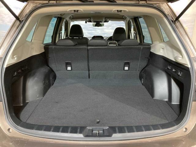 フォレスター アドバンス　バックソナー　ヒーター　ＳＤナビゲーション　アダプティブクルーズ　ブルーレイ再生　キーレス　スマートＫ　禁煙　ＰＷシート　ブルートゥース　エアＢ　サイドエアＢ　ＡＵＸ　ＡＷＤ　オートＬＥＤ　寒冷地（44枚目）