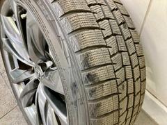 桼֤椫鸷줿Фʪ³桪ͤľĺޤΤǡɤʥޤˤΤ狼ޤ󡪺Ƥ뤳Τ֤ˤͤв񤨤Τϱ̿Ǥ 7