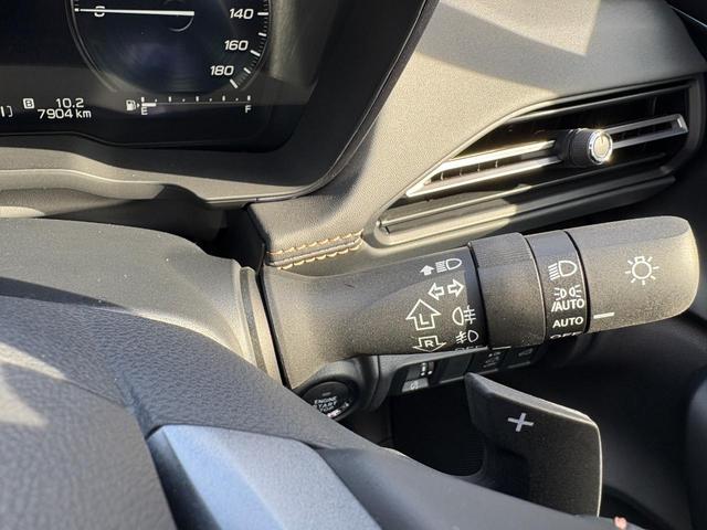 レヴォーグ レイバック リミテッドEX 4WD 純正ナビ DTV360°ビュー RAB スバルリヤビーグルディテクション パワーリヤゲート 純正アルミ LEDヘッドライト オートライト 革巻きステアリング パドルシフト プッシュスタート(20枚目)