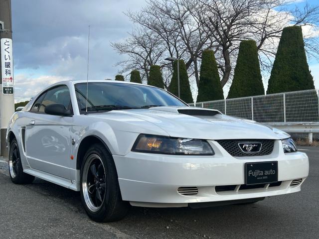 �f�����Ӓ�ԁ@����ԁ@�Q�I�[�i�[�@�L�^��t�@�{��V�[�g�@�L�[���X�Q�@�ЊO�P�V�C���`�z�C�[���@�����P�U�C���`�z�C�[���L