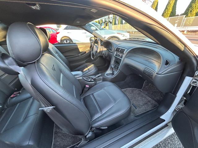 �f�����Ӓ�ԁ@����ԁ@�Q�I�[�i�[�@�L�^��t�@�{��V�[�g�@�L�[���X�Q�@�ЊO�P�V�C���`�z�C�[���@�����P�U�C���`�z�C�[���L