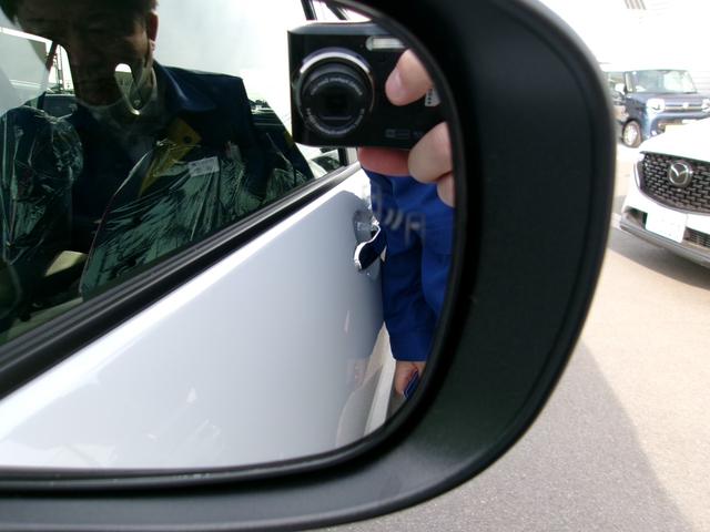 ライズ Ｚ　ＢＳＭ　ＲＣＴＡ　ディスプレイオーディオパッケージ　パノラミックビューモニター　ビルトインＥＴＣ２．０　ＬＥＤヘッドライト　フォグランプ　フロアマット　ステアリングスイッチ　トヨタセーフティセンス（29枚目）