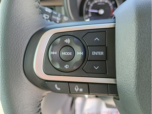 ムーヴキャンバス セオリーＧ　届出済未使用車　スマートアシスト　ＬＥＤヘッドライト　オートライト　プッシュスタート　後部座席両側パワースライドドア　運・助手席シートヒーター　キーレスエントリー（33枚目）