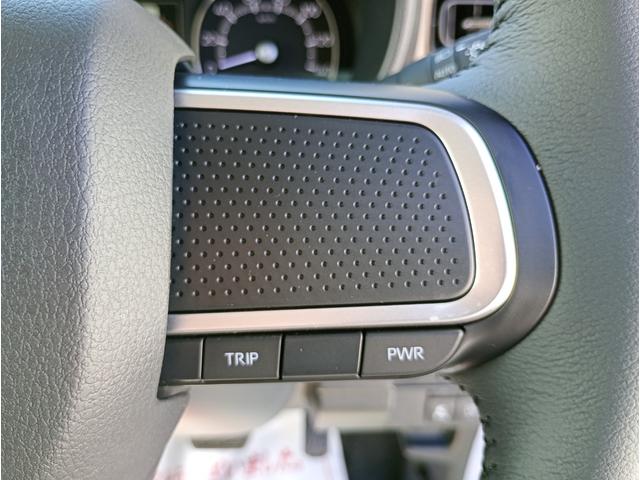 ムーヴキャンバス セオリーＧ　届出済未使用車　スマートアシスト　ＬＥＤヘッドライト　オートライト　プッシュスタート　後部座席両側パワースライドドア　運・助手席シートヒーター　キーレスエントリー（34枚目）