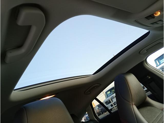 �J�������ځ���