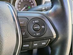 ƥ֥롼ȥա®ƻϩǤĹΥžɬʤǤ 5