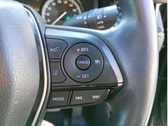 ƥ֥롼ȥա®ƻϩǤĹΥžɬʤǤ 6