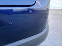 ꥢ󥹥ʡա㳲ʪؤܿΤ餻Ƥޤ 7