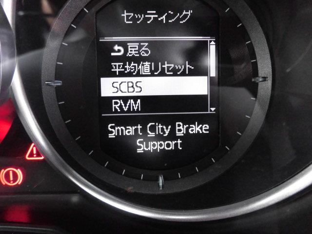 20S セーフティクルーズPKGディスチャージPKGナビTVバックカメラドラレコETC(20枚目)