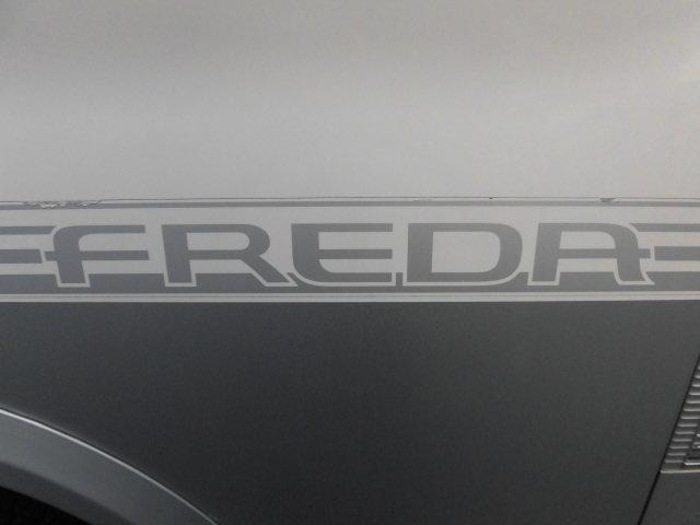 日本フォード フリーダ