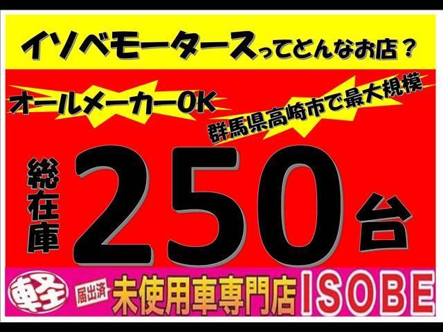 Ｇ　届出済未使用車　フルオートエアコン　キーフリー　プッシュスタート　バックカメラ　ＬＥＤヘッドライト　ステリモ(13枚目)