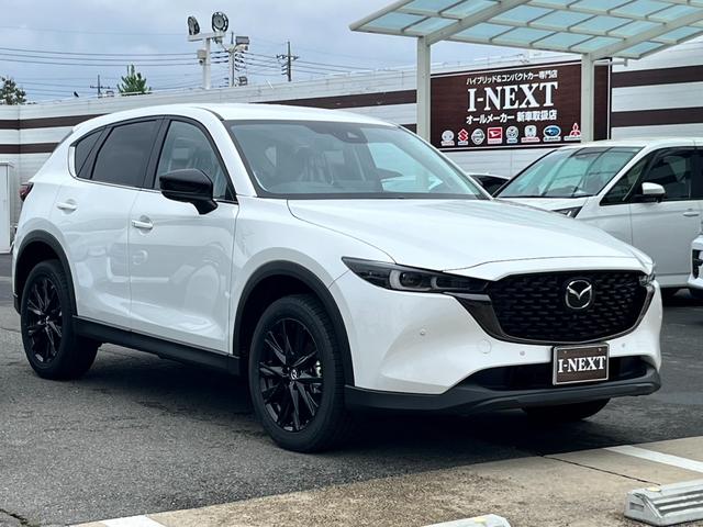 ＣＸ－５ ２０Ｓ　ブラックトーンエディション　ヒョウ害車／登録済未使用車／純正１０．２５インチセンターディスプレイ／マツダコネクト／フルセグＴＶ／パノラマビューモニター／ＬＥＤヘッドライト／シートヒーター／コーナーセンサー／純正アルミホイール／（35枚目）