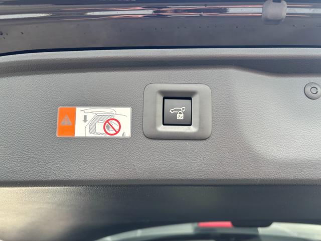アルファード Ｚ　１４インチコネクトナビ　１３．２インチ後席モニター　フルセグＴＶ　パノラマカメラ　ムーンルーフ　ＨＤＭＩ　ステアリングヒーター　置くだけ充電　両側電動スライド　デジタルインナーミラー（33枚目）