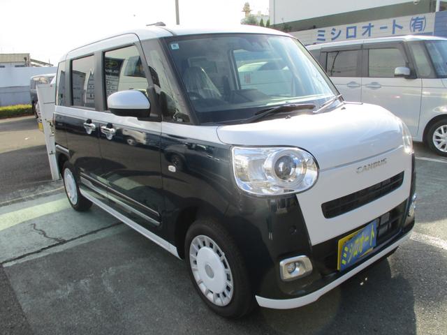 ムーヴキャンバス ストライプスG(3枚目)