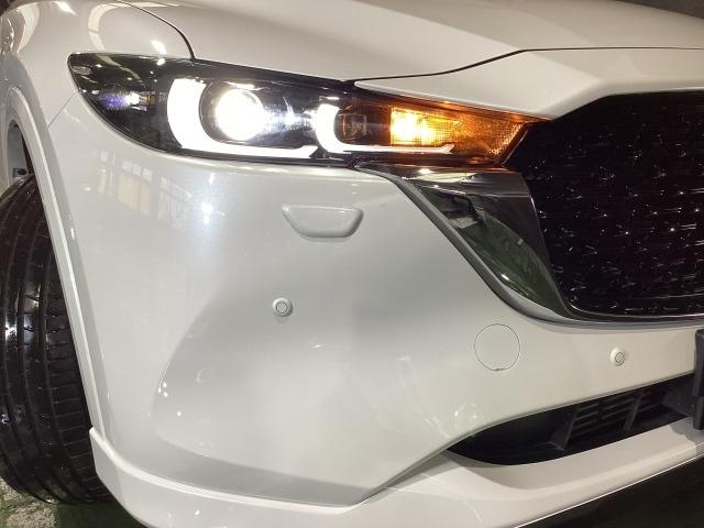 ＣＸ－５ ＸＤ　エクスクルーシブ　モード　マツダコネクトナビ　ＥＴＣ２．０　３６０°ビューモニター　ＢＯＳＥサウンドスピーカー　ナッパレザー　シートベンチレーション　電動リアゲート　１９インチＡＷ　１オーナー車　地デジ　レーンキープ　キーレス（33枚目）
