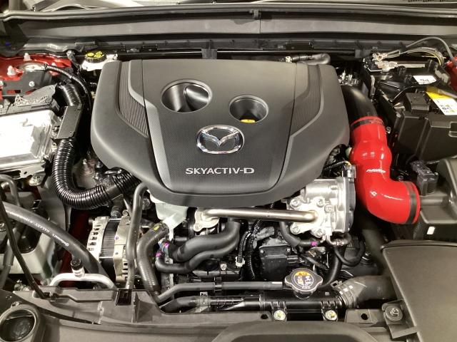 ＣＸ－３０ ＸＤ　レトロ　スポーツ　エディション　マツダコネクトナビ　ＥＴＣ　２カメラドラレコ　ＢＯＳＥスピーカー　電動シート　３６０°ビューモニター　１８インチＡＷ　ドライブレコーダー　ＬＥＤヘッド　レーダークルーズコントロール　フルセグＴＶ（30枚目）