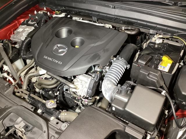 ＣＸ－３０ ＸＤ　ブラックトーンエディション　ＥＴＣ　３６０°モニター　パーキングセンサー　パワーテールゲート　電動シート　ＳＯＳコール　ドライブレコーダー　ＬＥＤヘッドライト　１８インチＡＷ　レーンアシスト　ワンオーナー車　ＵＳＢ　ＬＥＤ　ＴＶ（32枚目）