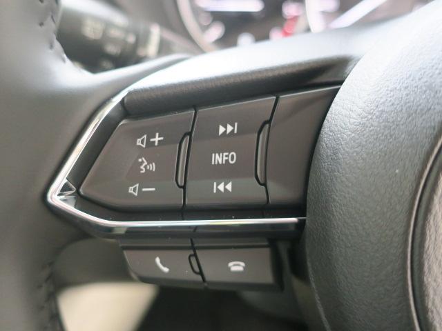 XD Lパッケージ 4WD ナビ 地デジ ETC BOSE 19AW(40枚目)