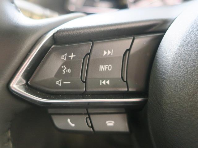 15S プロアクティブ 4WD Mナビ 地デジ Rクルーズ 16AW(25枚目)