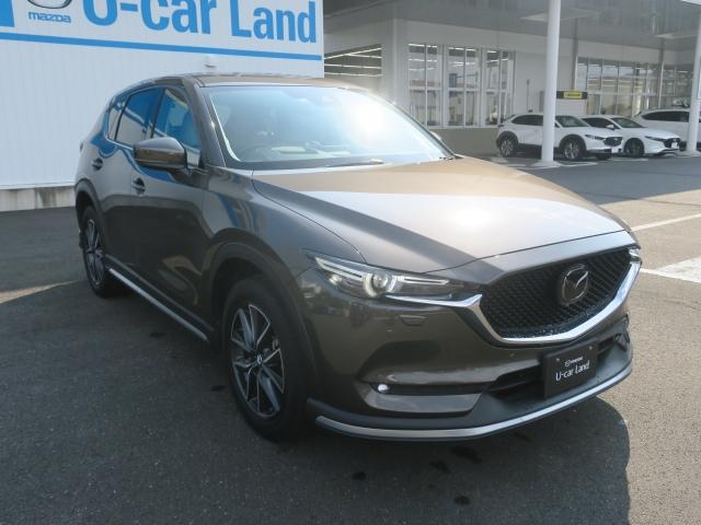 25S Lパッケージ 4WD Mナビ 地デジ ドラレコ 19AW パワーゲート ワンオーナー車 全周囲カメラ DVD再生 ナビTV LEDライト メモリーナビ 4WD ETC アイドリングストップ キーレス シートヒータ プリクラ(11枚目)
