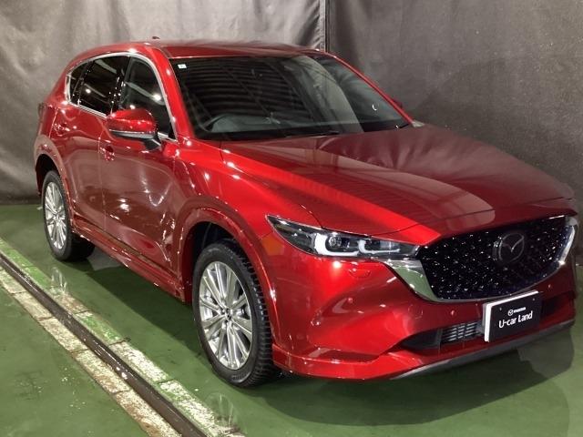 ＣＸ－５ ２．２　ＸＤ　エクスクルーシブ　モード　ディーゼルターボ　４　１オーナー車　地デジ　レーンキープ　盗難防止装置　本革シート　Ｂｌｕｅｔｏｏｔｈ対応　キーレス　記録簿　ＬＥＤ　クリアランスソナー　ＡＷＤ　ＵＳＢ　オートＬＥＤ　ＥＴＣ　ヒーター　パワーシート　ＡＡＣ（39枚目）