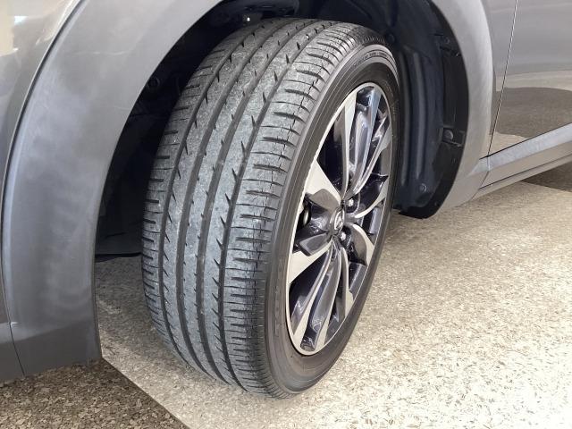 ＣＸ－３ ２．０　２０Ｓ　マツダコネクト　３６０°ビューモニター　純正アルミ　衝突軽減装置　クリアランスソナー　ＬＥＤヘッド　盗難防止装置　オートライト　ＥＴＣ付き　スマートキー＆プッシュスタート　エアコン　ＵＳＢ　ナビ＆ＴＶ（30枚目）