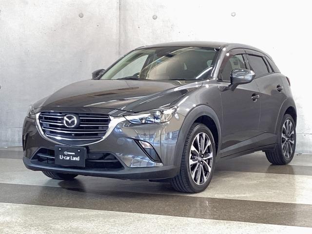 ＣＸ－３ ２．０　２０Ｓ　マツダコネクト　３６０°ビューモニター　純正アルミ　衝突軽減装置　クリアランスソナー　ＬＥＤヘッド　盗難防止装置　オートライト　ＥＴＣ付き　スマートキー＆プッシュスタート　エアコン　ＵＳＢ　ナビ＆ＴＶ（35枚目）