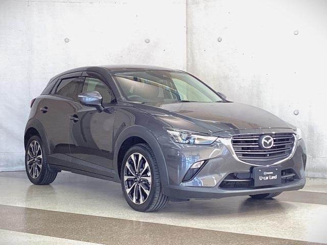 ＣＸ－３ ２．０　２０Ｓ　マツダコネクト　３６０°ビューモニター　純正アルミ　衝突軽減装置　クリアランスソナー　ＬＥＤヘッド　盗難防止装置　オートライト　ＥＴＣ付き　スマートキー＆プッシュスタート　エアコン　ＵＳＢ　ナビ＆ＴＶ（40枚目）