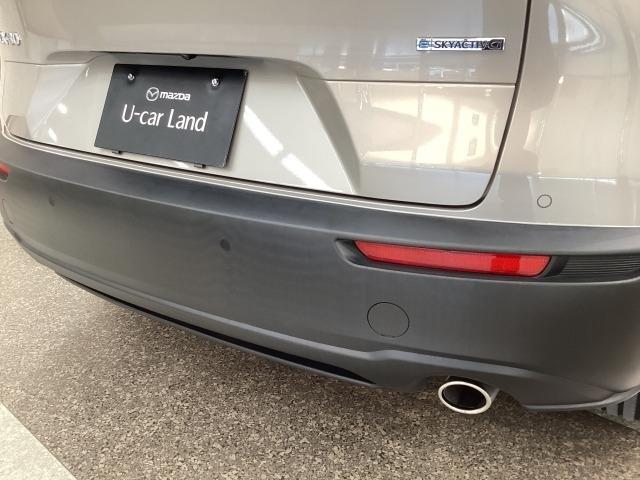 �o���p�[�ɂ͏�Q���ւ̐ڋ߂��A���[�����Œm�点�Ă����p�[�L���O�Z���T�[����������Ă��܂��B