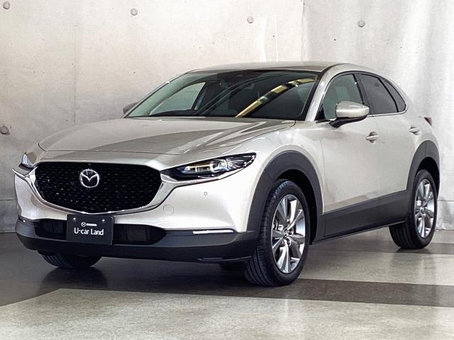 �WࣂƂ������ӎ�������������b�w�|�R�O�I�w����������x���Ƃ̊��сA�D��ȂЂƎ������y���݂��������B