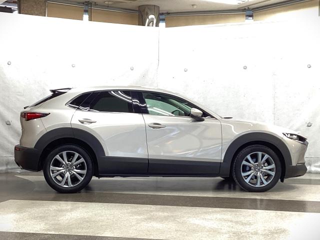 ���̎ԗ��́i�T�|�J�[�j�Ⴕ���́i�T�|�J�[�r�j�̑ΏێԎ�ƂȂ��Ă���܂��B���ڂ���Ă����i���S�Z�p�͌�ʎ��̖̂h�~���Q�̌y���ɖ𗧂��܂��B�ڂ����͔̔��X�^�b�t�ɂ��q�ˉ������܂��B