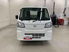 䤿ϥϥĤκ߸˼֤꤬Ȥޤ 5