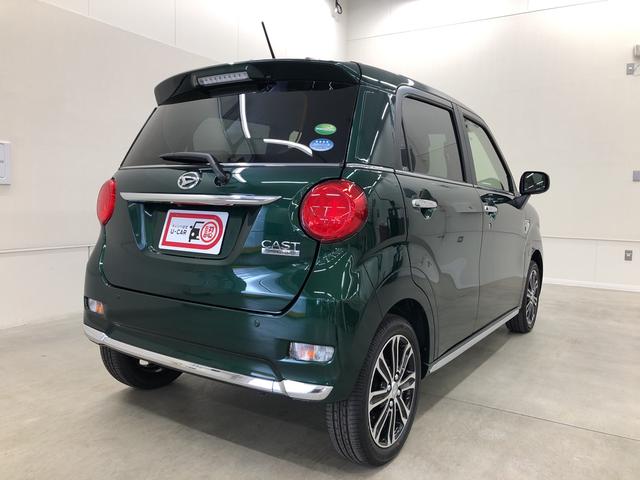 スタイルG リミテッド SAIII(8枚目)