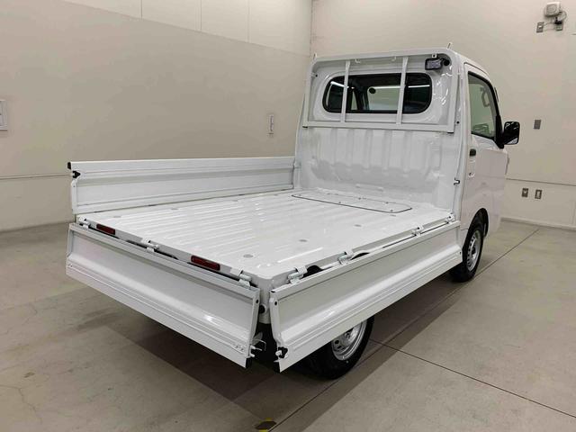 ハイゼットトラック スタンダード 農用スペシャル 4WD オートライト・オートマチックハイビーム・AMFMラジオ・キーレスエントリー・アイドリングストップ・スマートアシスト・マニュアルエアコン(38枚目)