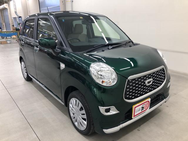 スタイルX リミテッド SAIII(6枚目)