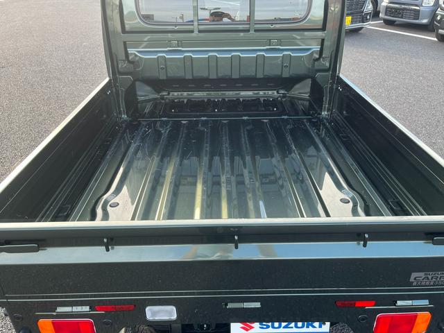 スーパーキャリイ スーパーキャリイ　Ｘ　５型　４ＷＤ　ＡＴ　秋真っ盛り！（19枚目）