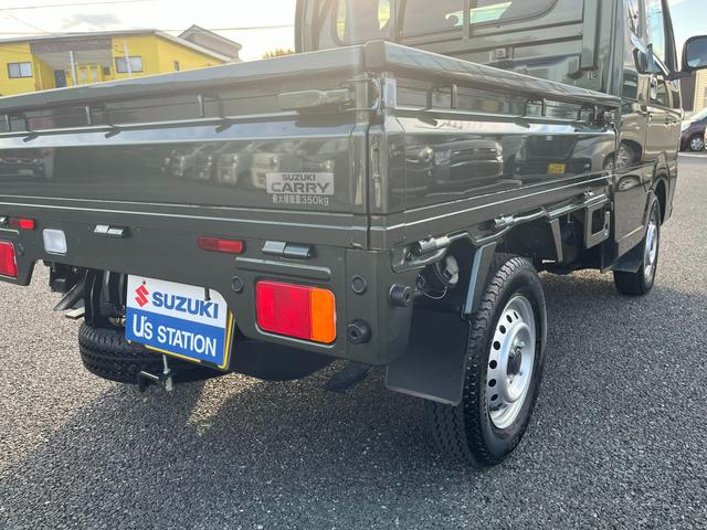スーパーキャリイ スーパーキャリイ　Ｘ　５型　４ＷＤ　ＡＴ　秋真っ盛り！（29枚目）