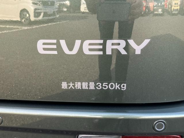 エブリイ PC 6型 ディスプレイオーディオ Bカメラ 秋真っ盛り(59枚目)