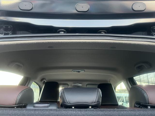 フロンクス １型　秋真っ盛り！（12枚目）