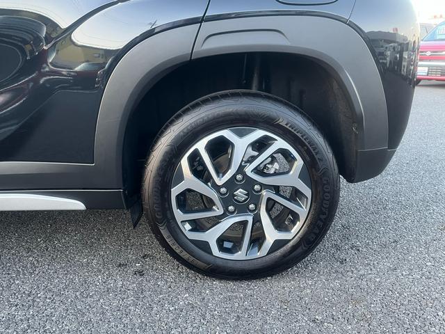 フロンクス １型　秋真っ盛り！（20枚目）